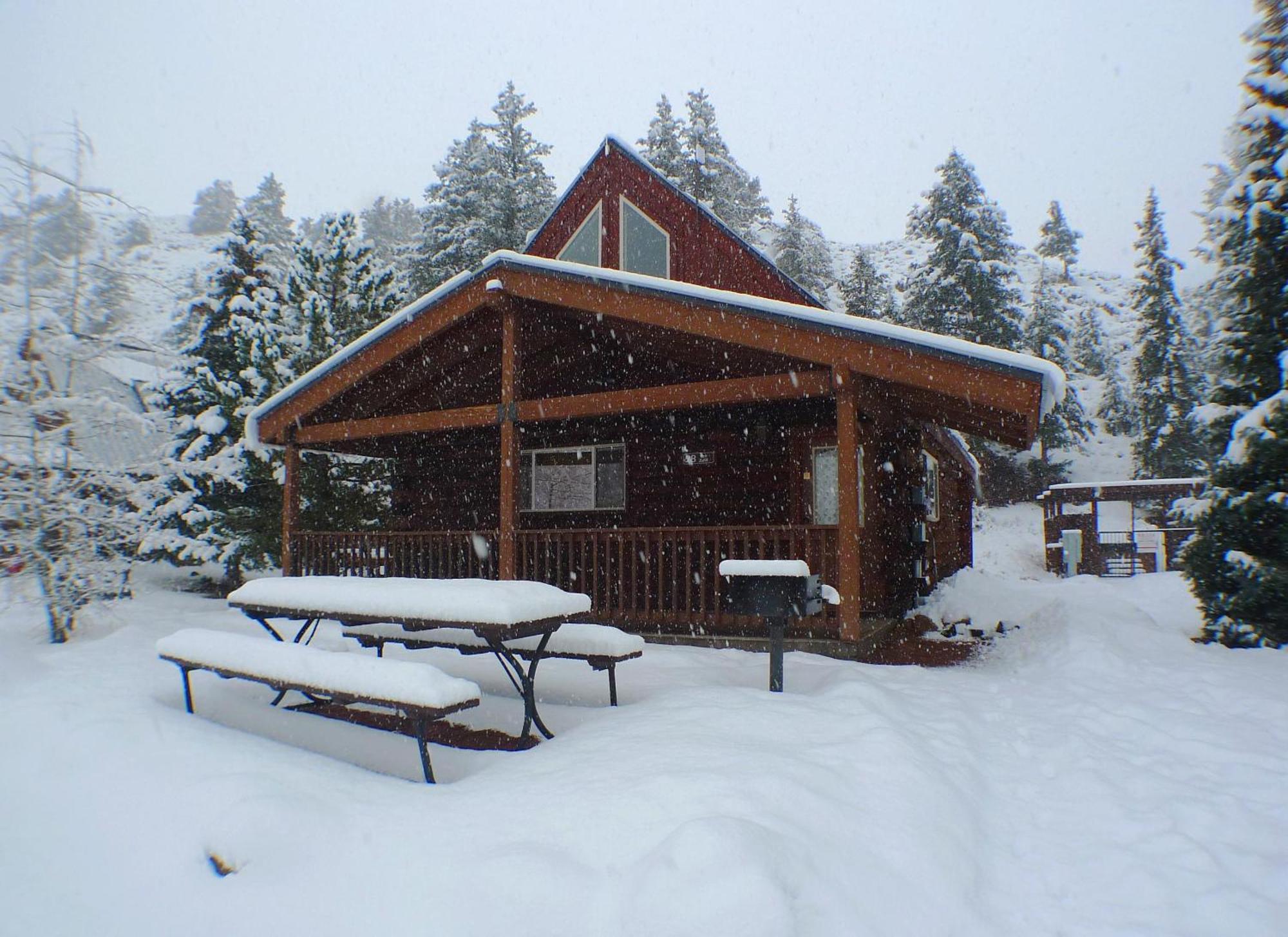 Cabin 28 Almont Екстериор снимка